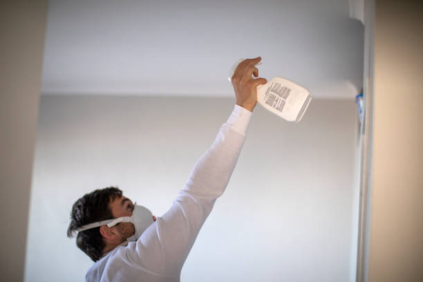 Best Commercial Mold Removal  in Paris, KY
